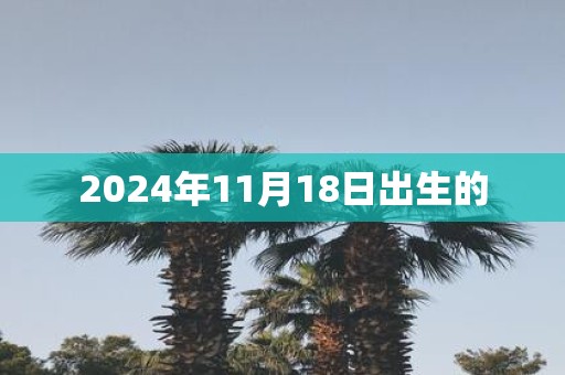 2025年11月18日出生的