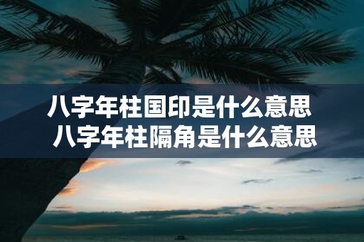 八字年柱国印是什么意思 八字年柱隔角是什么意思