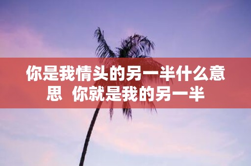 你是我情头的另一半什么意思 你就是我的另一半