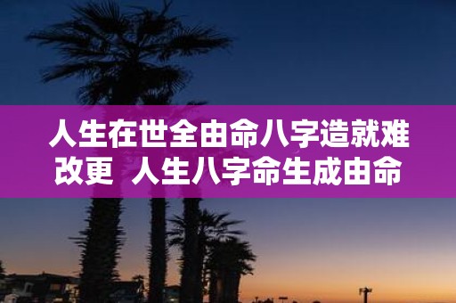 人生在世全由命八字造就难改更 人生八字命生成由命不由人