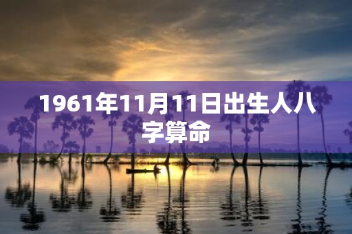 1961年11月11日出生人八字算命