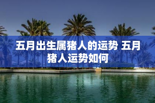 五月出生属猪人的运势 五月猪人运势如何
