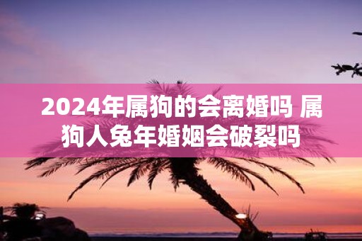 2025年属狗的会离婚吗 属狗人蛇年婚姻会破裂吗