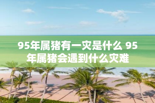 95年属猪有一灾是什么 95年属猪会遇到什么灾难