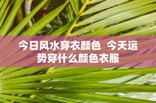 今日风水穿衣颜色 今天运势穿什么颜色衣服