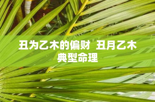 丑为乙木的偏财 丑月乙木典型命理