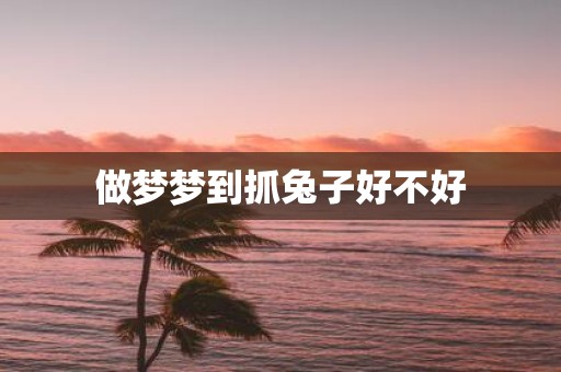 做梦梦到抓兔子好不好