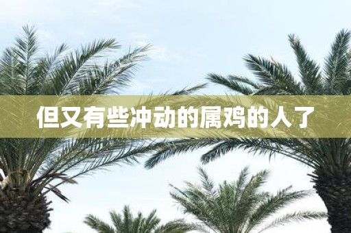 但又有些冲动的属鸡的人了