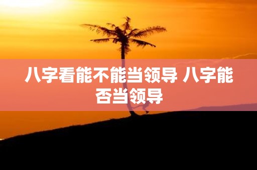 八字看能不能当领导 八字能否当领导