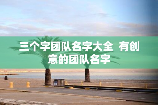 三个字团队名字大全 有创意的团队名字