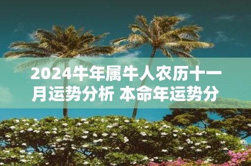 2025牛年属牛人农历十一月运势分析 本命年运势分析