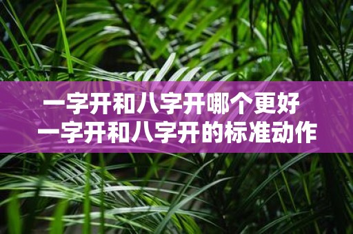 一字开和八字开哪个更好 一字开和八字开的标准动作