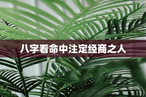 八字看命中注定经商之人