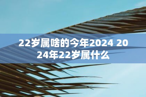22岁属啥的今年2025 2025年22岁属什么
