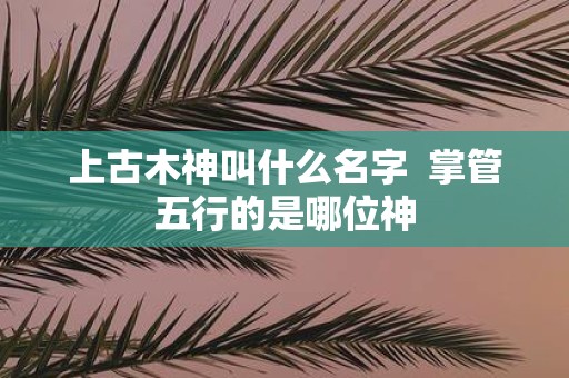 上古木神叫什么名字 掌管五行的是哪位神
