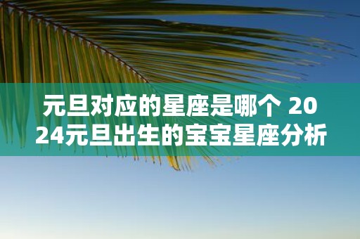 元旦对应的星座是哪个 2025元旦出生的宝宝星座分析