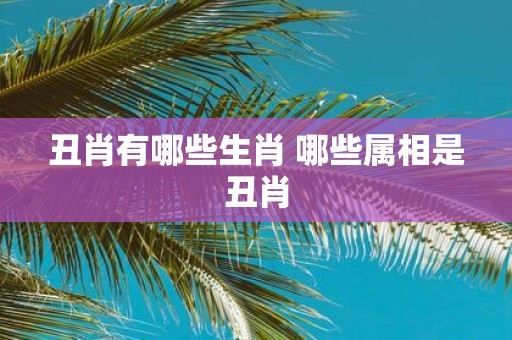 丑肖有哪些生肖 哪些属相是丑肖