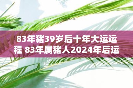 83年猪39岁后十年大运运程 83年属猪人2025年后运势