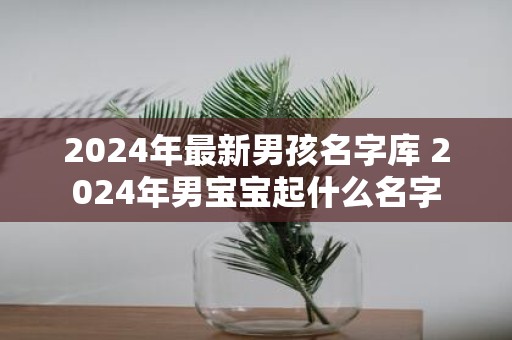 2025年最新男孩名字库 2025年男宝宝起什么名字