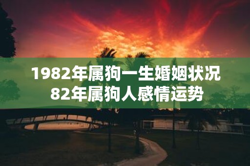 1982年属狗一生婚姻状况 82年属狗人感情运势