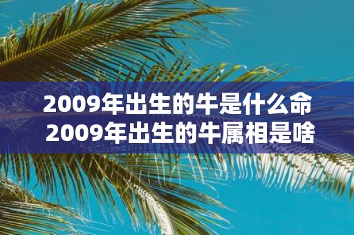 2009年出生的牛是什么命 2009年出生的牛属相是啥