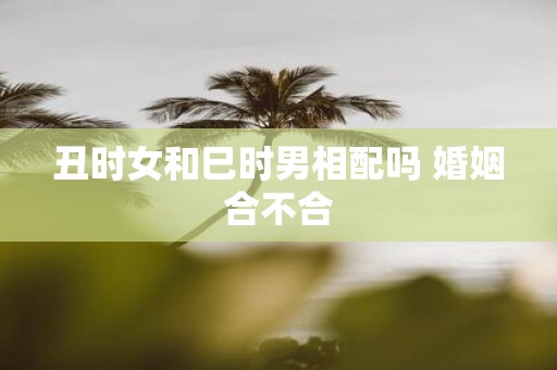 丑时女和巳时男相配吗 婚姻合不合