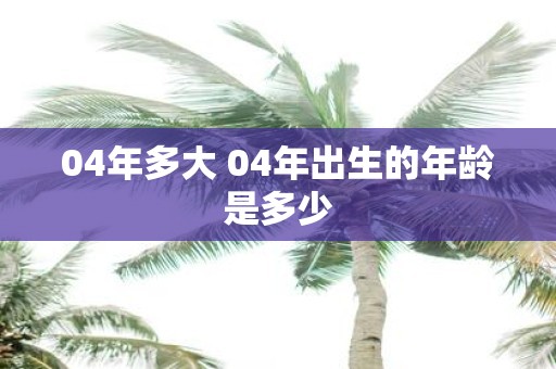 04年多大 04年出生的年龄是多少