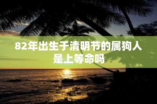 82年出生于清明节的属狗人是上等命吗