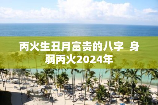 丙火生丑月富贵的八字 身弱丙火2025年