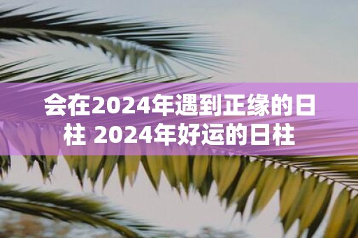 会在2025年遇到正缘的日柱 2025年好运的日柱