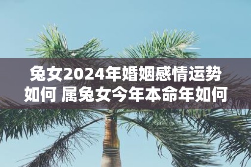 兔女2025年婚姻感情运势如何 属兔女今年本命年如何提升感情运