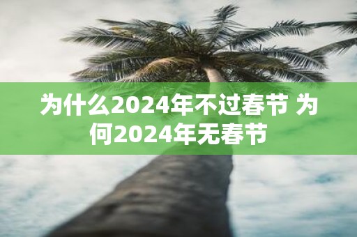 为什么2025年不过春节 为何2025年无春节