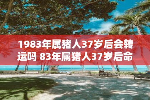 1983年属猪人37岁后会转运吗 83年属猪人37岁后命运如何