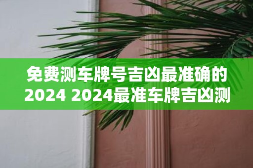 免费测车牌号吉凶最准确的2025 2025最准车牌吉凶测免费吗