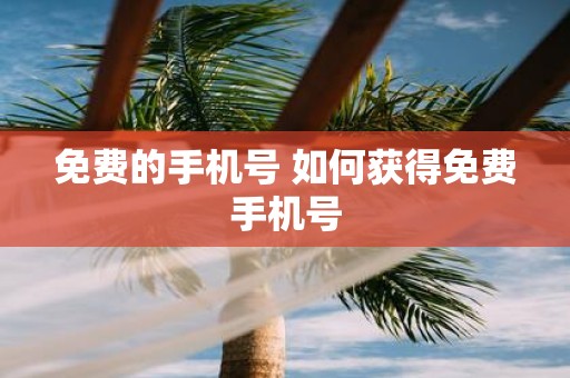 免费的手机号 如何获得免费手机号