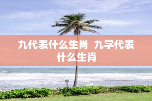 九代表什么生肖 九字代表什么生肖