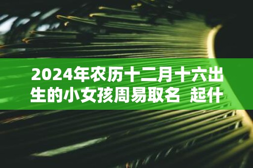 2025年农历十二月十六出生的小女孩周易取名 起什么名字最好