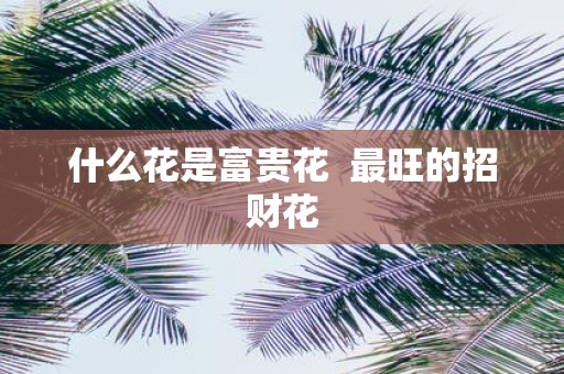 什么花是富贵花 最旺的招财花 什么花是富贵花 最旺的招财花