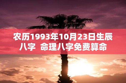 农历1993年10月23日生辰八字 命理八字免费算命