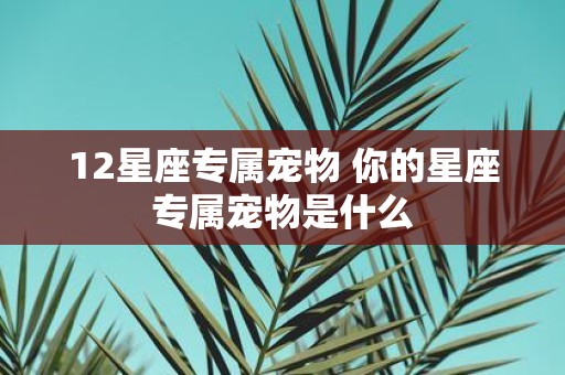 12星座专属宠物 你的星座专属宠物是什么