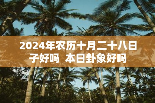 2025年农历十月二十八日子好吗 本日卦象好吗