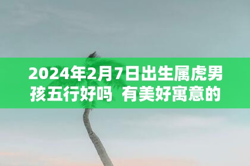 2025年2月7日出生属虎男孩五行好吗 有美好寓意的男孩名字