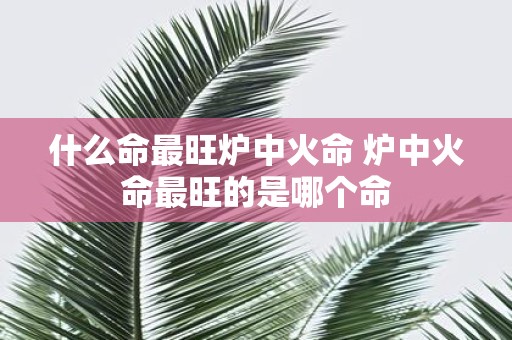 什么命最旺炉中火命 炉中火命最旺的是哪个命