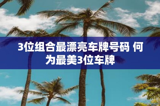 3位组合最漂亮车牌号码 何为最美3位车牌