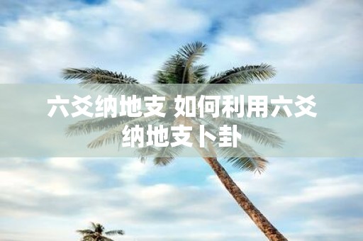 六爻纳地支 如何利用六爻纳地支卜卦