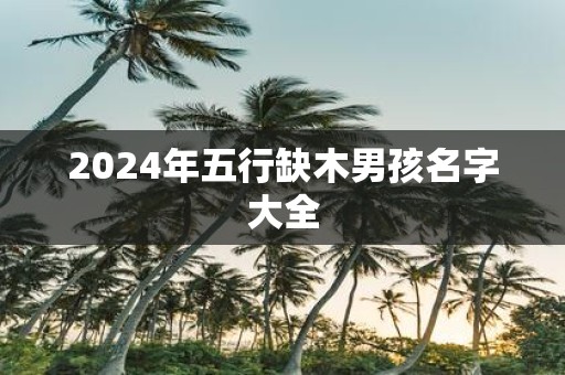 2025年五行缺木男孩名字大全
