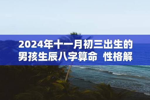 2025年十一月初三出生的男孩生辰八字算命 性格解析