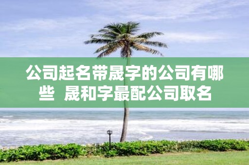 公司起名带晟字的公司有哪些 晟和字最配公司取名