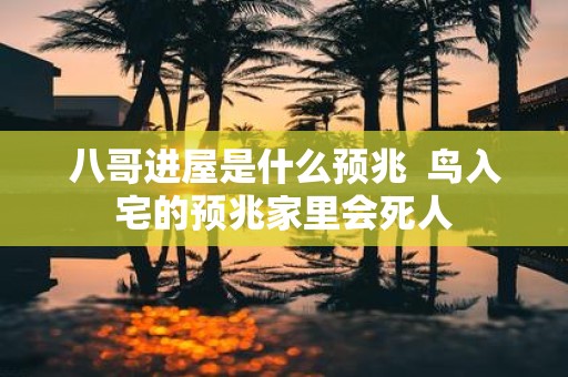 八哥进屋是什么预兆 鸟入宅的预兆家里会死人