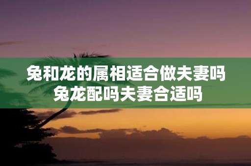兔和龙的属相适合做夫妻吗 兔龙配吗夫妻合适吗